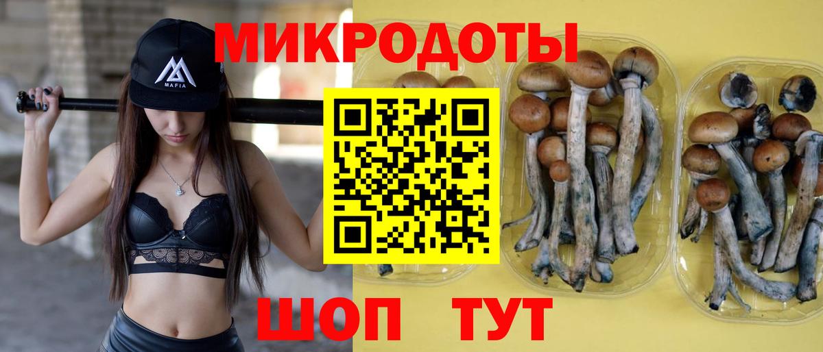Вятские Поляны  Галлюциногенные грибы MAGIC MUSHROOMS  Вход с VPN 